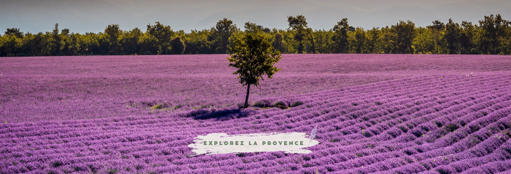 Villa La Provence à Vaison-la-Romaine - Vaison Ventoux Provencee Villa La Provence à Vaison-la-Romaine - Vaison Ventoux Provence