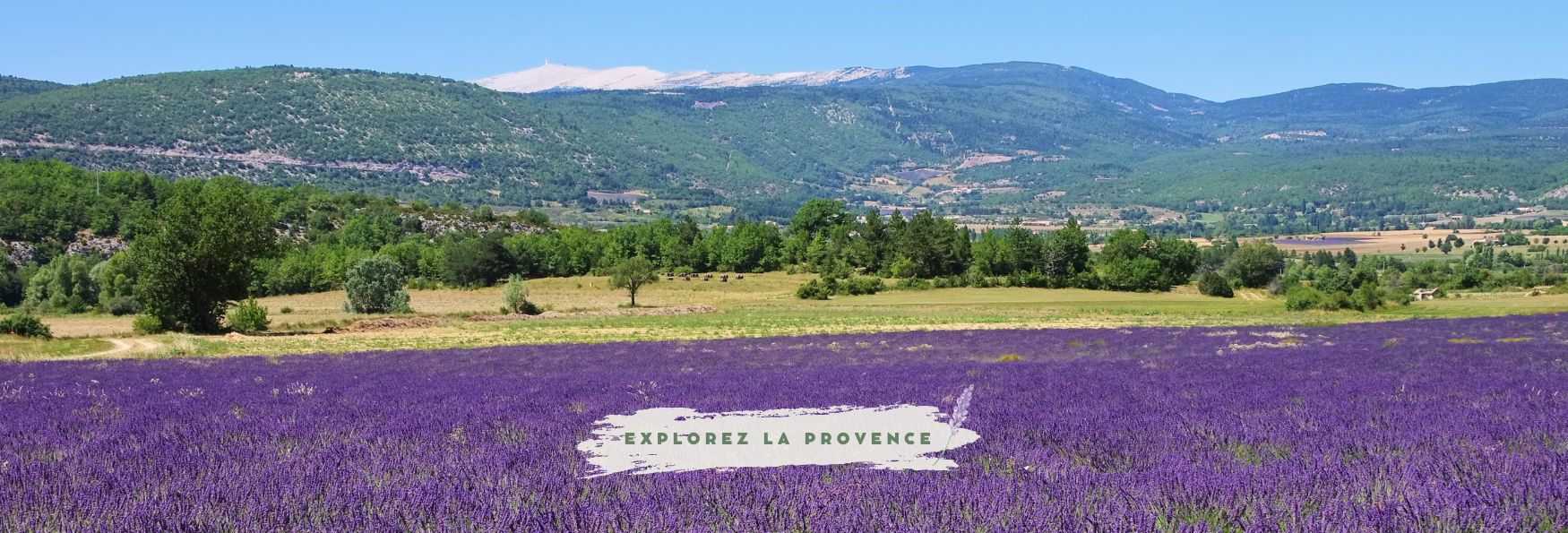 slider (1) Slider (1)